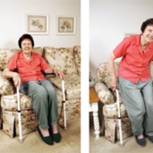 SafetySure StandEase Stand-UP Assist