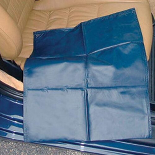 SafetySure CarEase Transfer Slide